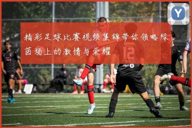 精彩足球比赛视频集锦带你领略绿茵场上的激情与荣耀
