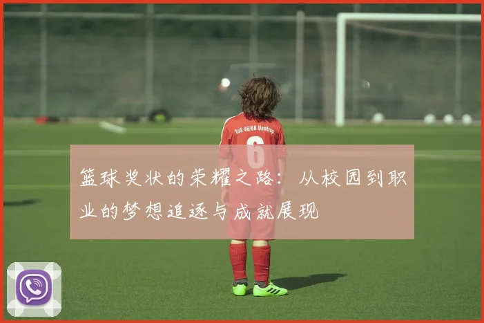 篮球奖状的荣耀之路：从校园到职业的梦想追逐与成就展现