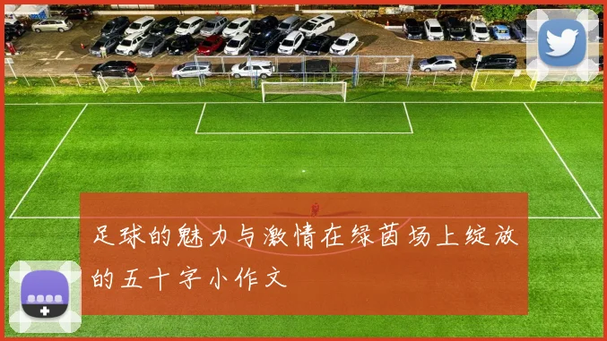 足球的魅力与激情在绿茵场上绽放的五十字小作文