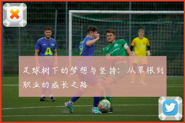足球树下的梦想与坚持：从草根到职业的成长之路